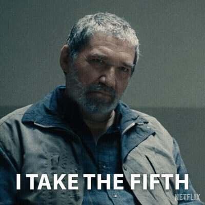 A Man With A Beard Says " I Take The Fifth " In A Netflix Ad GIF
