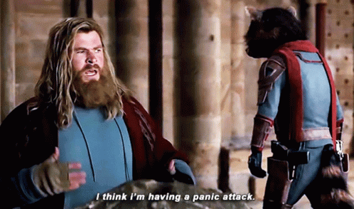 A Man With A Beard Says I Think I 'M Having A Panic Attack Next To A Raccoon GIF