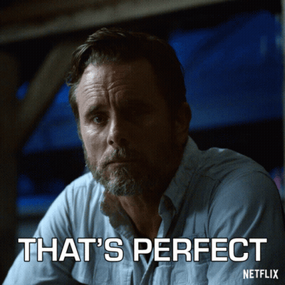 A Man With A Beard Says That 'S Perfect On A Netflix Ad GIF