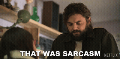 A Man With A Beard Says That Was Sarcasm Netflix GIF