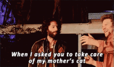 A Man With A Beard Says When I Asked You To Take Care Of My Mother 'S Cat .. GIF