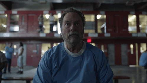 Bearded Man In Blue Shirt Looking At Camera GIF