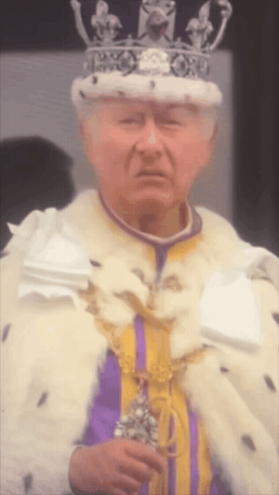 A Man With A Crown On His Head Is Wearing A Purple And Yellow Robe GIF