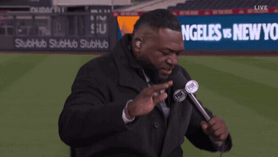 A Man With A Fox Logo On His Microphone GIF