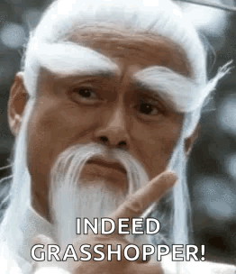 A Man With A Long White Beard And Mustache Is Pointing At Something . GIF