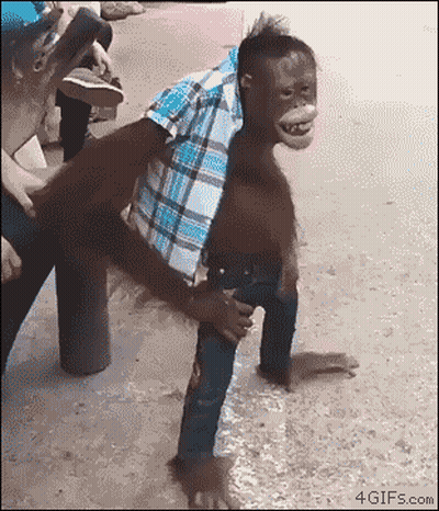 A Man With A Monkey On His Back Is Being Held By Another Man .. GIF