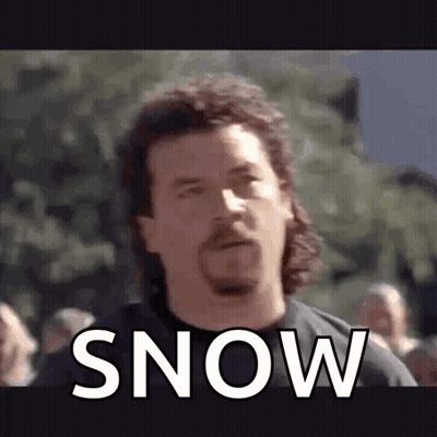 A Man With A Mullet And A Beard Is Standing In Front Of A Crowd And The Word Snow Is On His Face . GIF