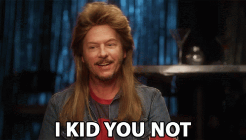 A Man With A Mullet And A Beard Says I Kid You Not GIF