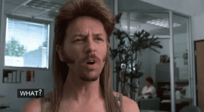 A Man With A Mullet And A Beard Says What GIF