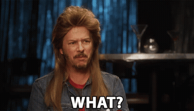 A Man With A Mullet And A Beard Says " What " GIF