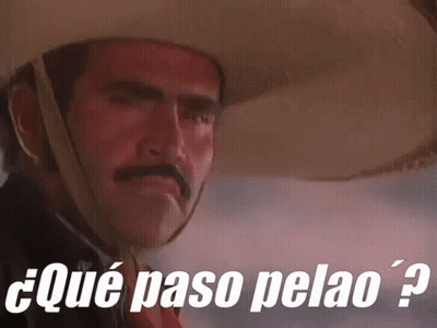 A Man With A Mustache And A Cowboy Hat Is Wearing A Cowboy Hat And A Red Shirt . GIF