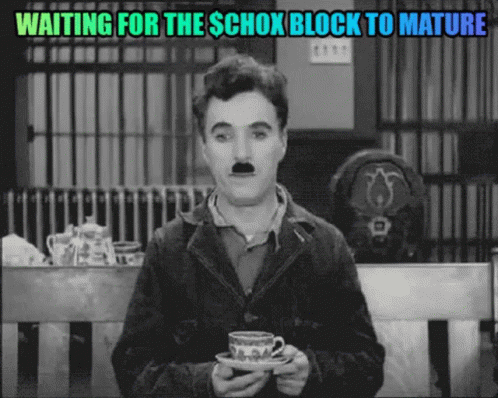 A Man With A Mustache Is Holding A Cup And Saucer And Waiting For The Schox Block To Mature GIF