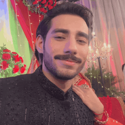A Man With A Mustache Is Smiling In Front Of A Red Curtain GIF