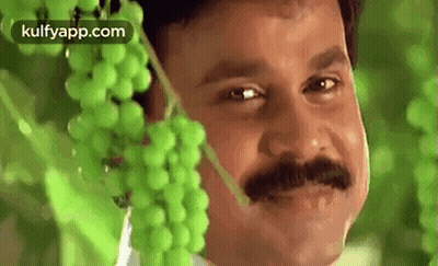 A Man With A Mustache Is Standing Next To A Bunch Of Grapes . GIF