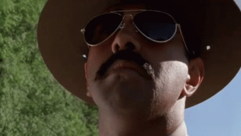 A Man With A Mustache Wearing Sunglasses And A Cowboy Hat GIF