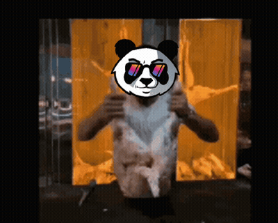 A Man With A Panda Head On His Face GIF