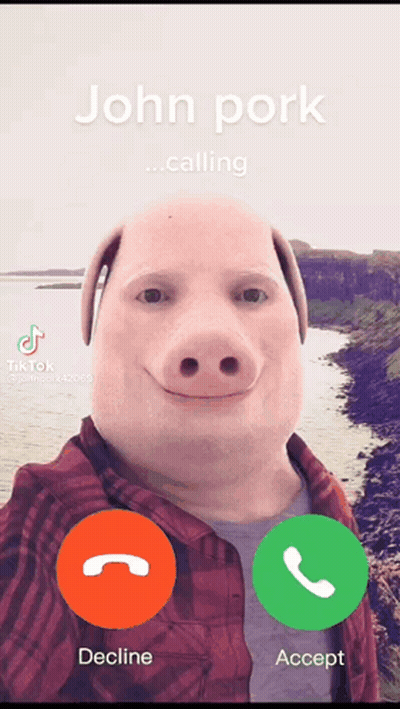 A Man With A Pig Face Is Talking On A Cell Phone GIF