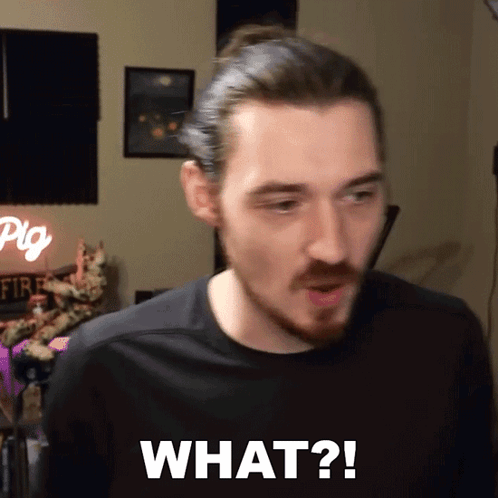 Man With Ponytail And Beard Says What GIF