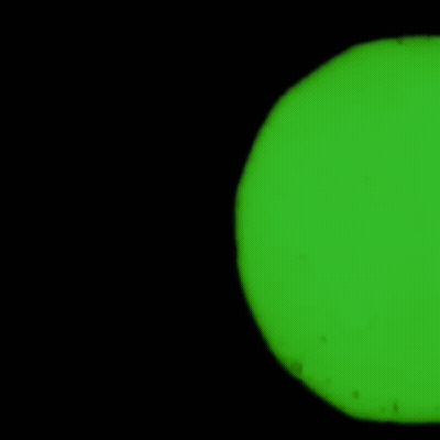 A Man With A Question Mark On His Shirt Is Dancing In A Green Circle GIF