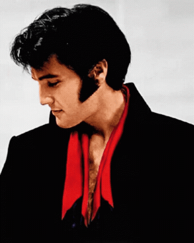 A Man With A Red Scarf Around His Neck Is Wearing A Black Jacket GIF