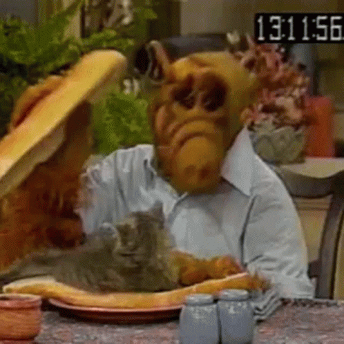 A Man With An Alf Mask Is Sitting At A Table With A Cat And A Sandwich . GIF