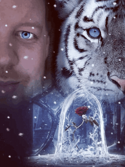 A Man With Blue Eyes Is Standing In Front Of A Tiger And A Rose In A Glass Dome GIF
