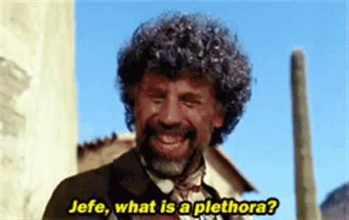 A Man With Curly Hair And A Beard Is Smiling And Asking Jefe What Is A Plethora ? GIF