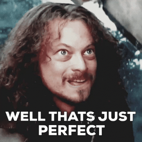 A Man With Curly Hair And A Beard Is Smiling With The Words Well Thats Just Perfect Below Him GIF