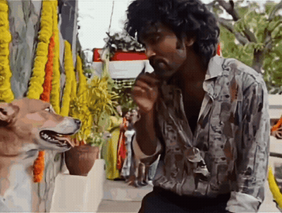 A Man With Curly Hair Is Talking To A Dog That Is Looking At Him GIF