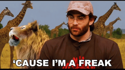 A Man With Giraffes In The Background Says ' Cause I 'M A Freak ' In Front Of A Lion GIF