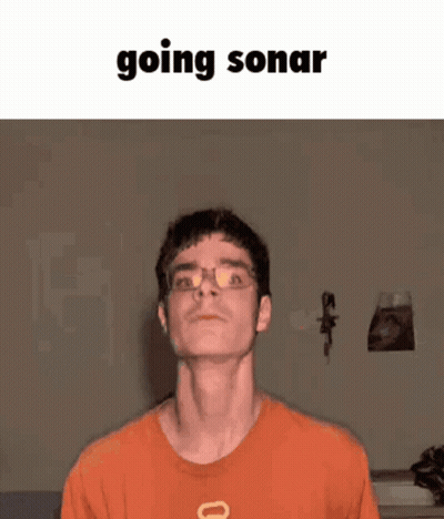 A Man With Glasses And An Orange Shirt Is Going Sonar GIF