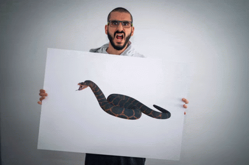 A Man With Glasses Holds Up A Picture Of A Snake GIF