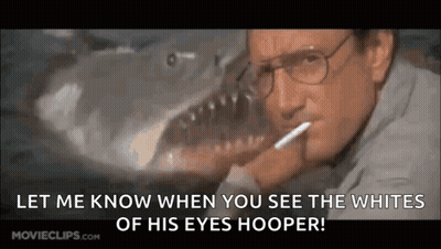 A Man With Glasses Is Smoking A Cigarette In Front Of A Shark In The Water . GIF