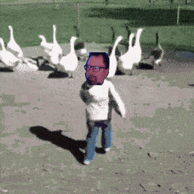 A Man With Glasses Stands In Front Of A Herd Of Geese GIF