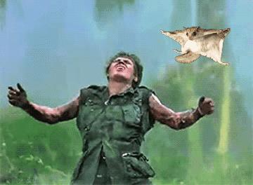 A Man With His Arms Outstretched Is Looking Up At A Flying Squirrel GIF