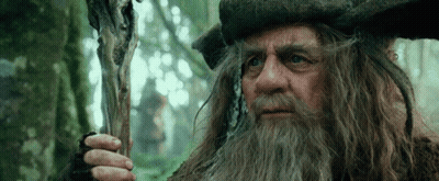 A Man With Long Hair And A Beard Holding A Stick GIF