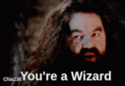 A Man With Long Hair And A Beard Is Being Called A Wizard GIF