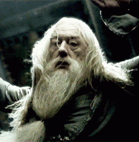 A Man With Long Hair And A Beard Is Being Held By Someone GIF