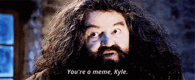 A Man With Long Hair And A Beard Is Saying `` You 'Re A Meme , Kyle '' . GIF
