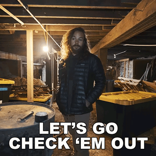 A Man With Long Hair And A Beard Is Standing In A Basement With The Words Let 'S Go Check ' Em Out GIF