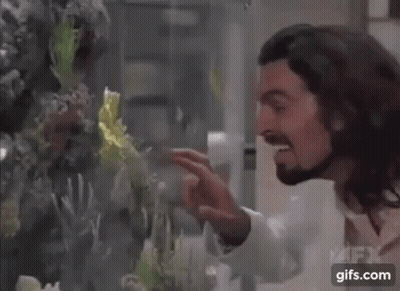A Man With Long Hair And A Beard Is Touching A Fish Tank . GIF