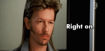A Man With Long Hair And A Beard Is Wearing A Mullet . GIF