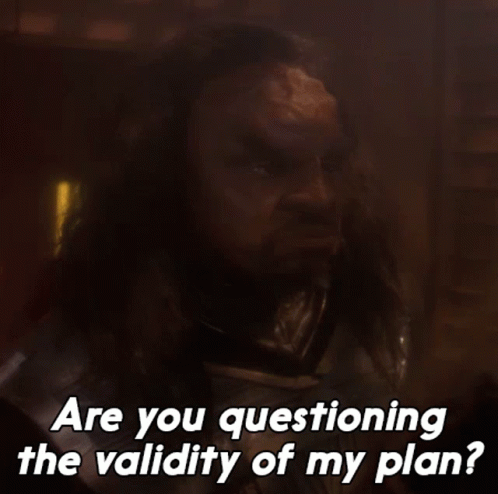 A Man With Long Hair And A Beard Says Are You Questioning The Validity Of My Plan ? GIF