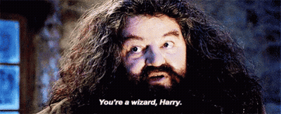 A Man With Long Hair And A Beard Says `` You 'Re A Wizard , Harry '' . GIF