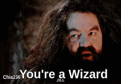 A Man With Long Hair And A Beard Says You 'Re A Wizard Jill GIF
