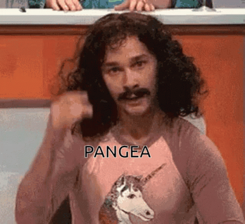 A Man With Long Hair And A Mustache Is Wearing A Pink Shirt With A Unicorn On It And The Word Pangea On It GIF