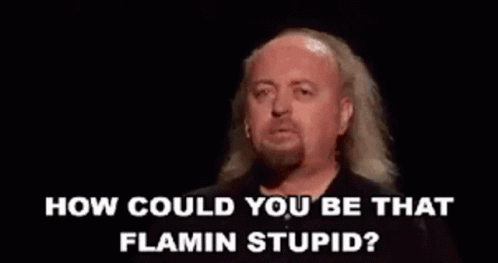 A Man With Long Hair Is Standing In Front Of A Fire And Says `` How Could You Be That Flamin Stupid ? '' GIF