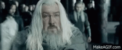 A Man With Long White Hair And A Beard Is Standing In A Crowd . GIF