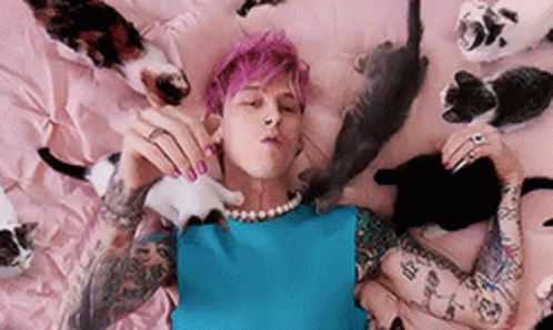 A Man With Pink Hair Is Laying On A Bed With A Bunch Of Cats GIF