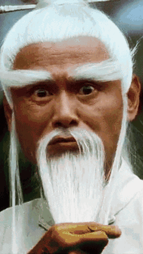 A Man With White Hair And A White Beard Looks At The Camera GIF